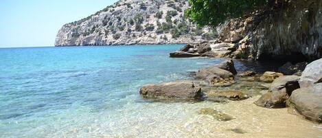 Apartment | Internet