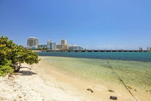 Beach - Botanical Suite | Artsy Retreat in Santurce! (San Juan)