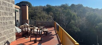 Bell Vivere Guesthouse