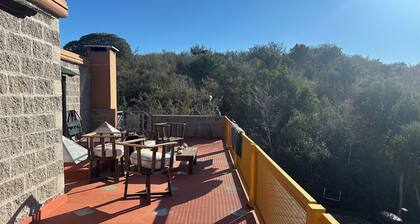 Bell Vivere Guesthouse