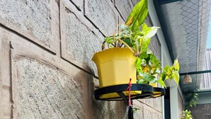 A wooden sign with motivational phrases, a hanging planter with green plants, and a brick wall. - Kili Haven Lodge (Moshi)