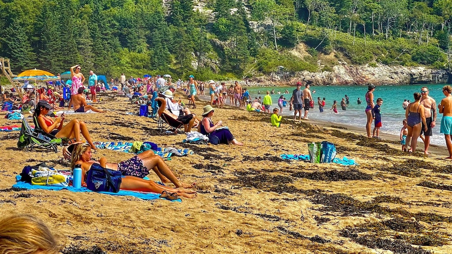 Mattawamkeag River Cottage