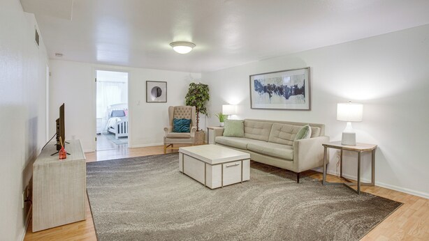A modern living room with a sofa, coffee table, and a rug. There is a chair with a plant, a lamp, and a framed picture on the wall. - Walk to Shops at Belmar: Denver Area Home Base (Lakewood)
