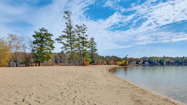 En sandstrand med fotspår, en stilla sjö och träd med höstfärgade löv.