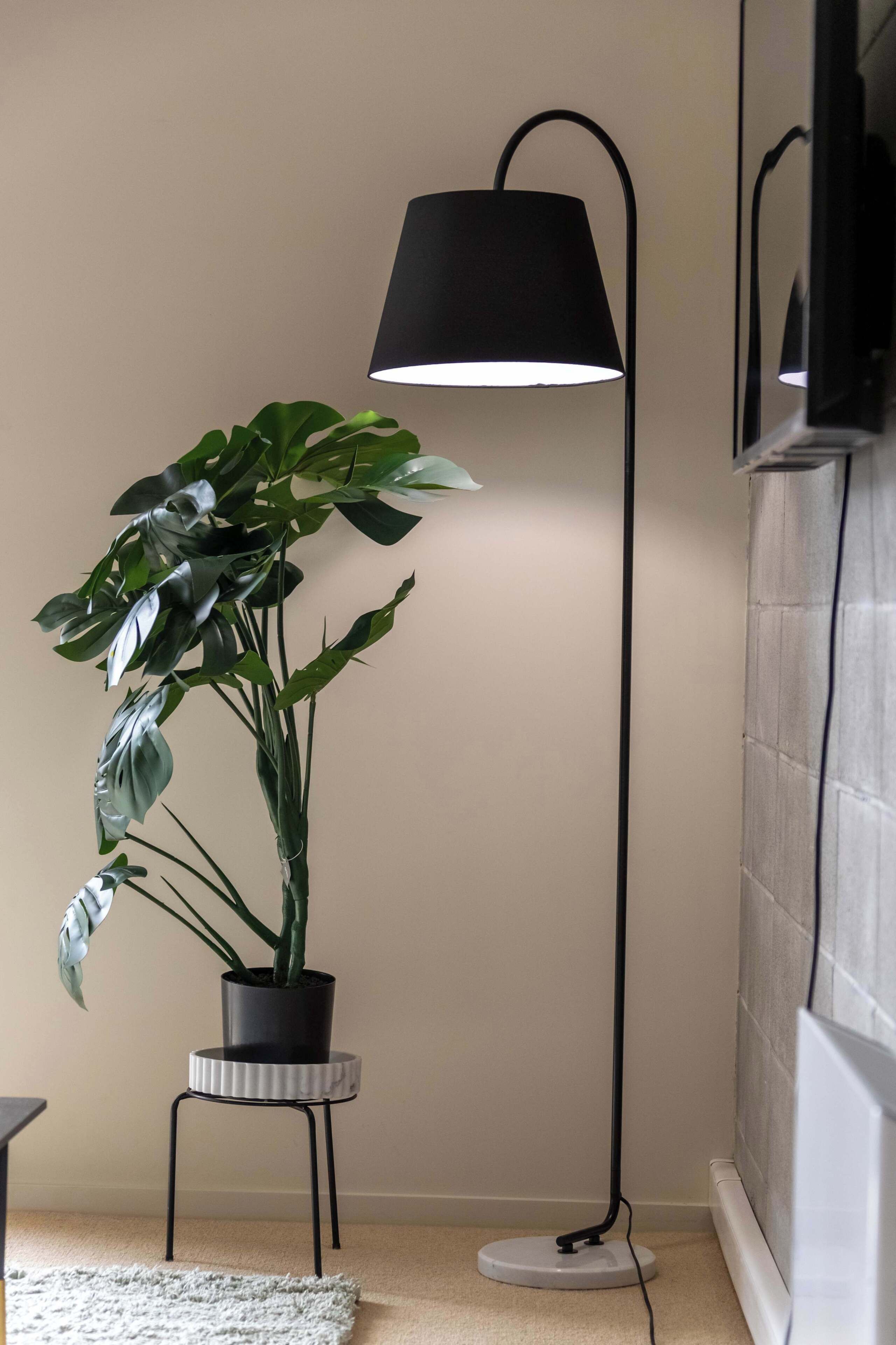A potted plant on a small stool next to a floor lamp in a room with a tiled wall and a carpeted floor.