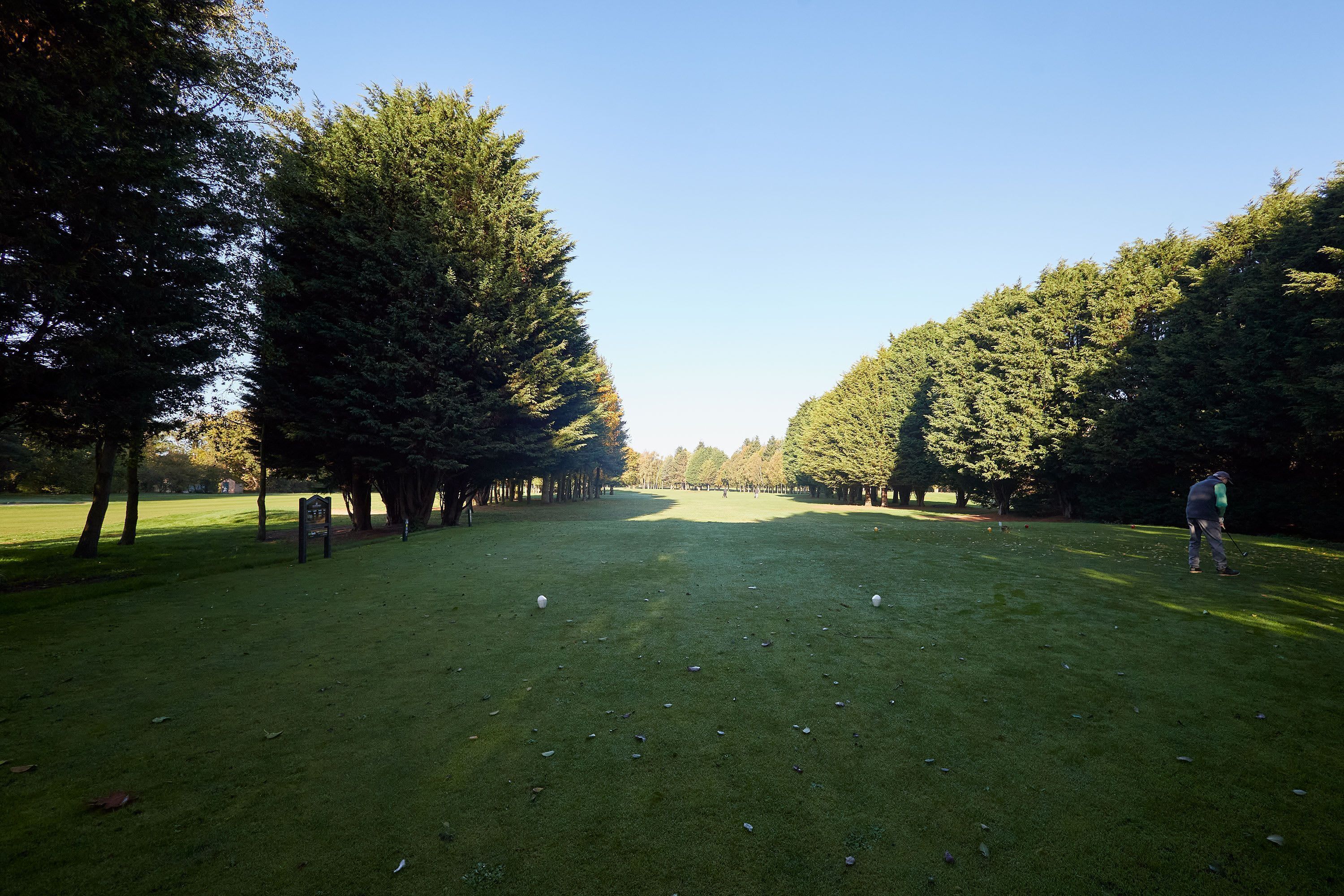 A golf course with a clear sky, well-maintained grass, and tall trees on both sides.