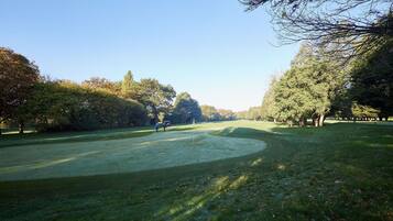 House | 2 bedrooms, desk, Internet