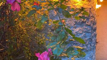 DĂ©tail de lâextĂ©rieur