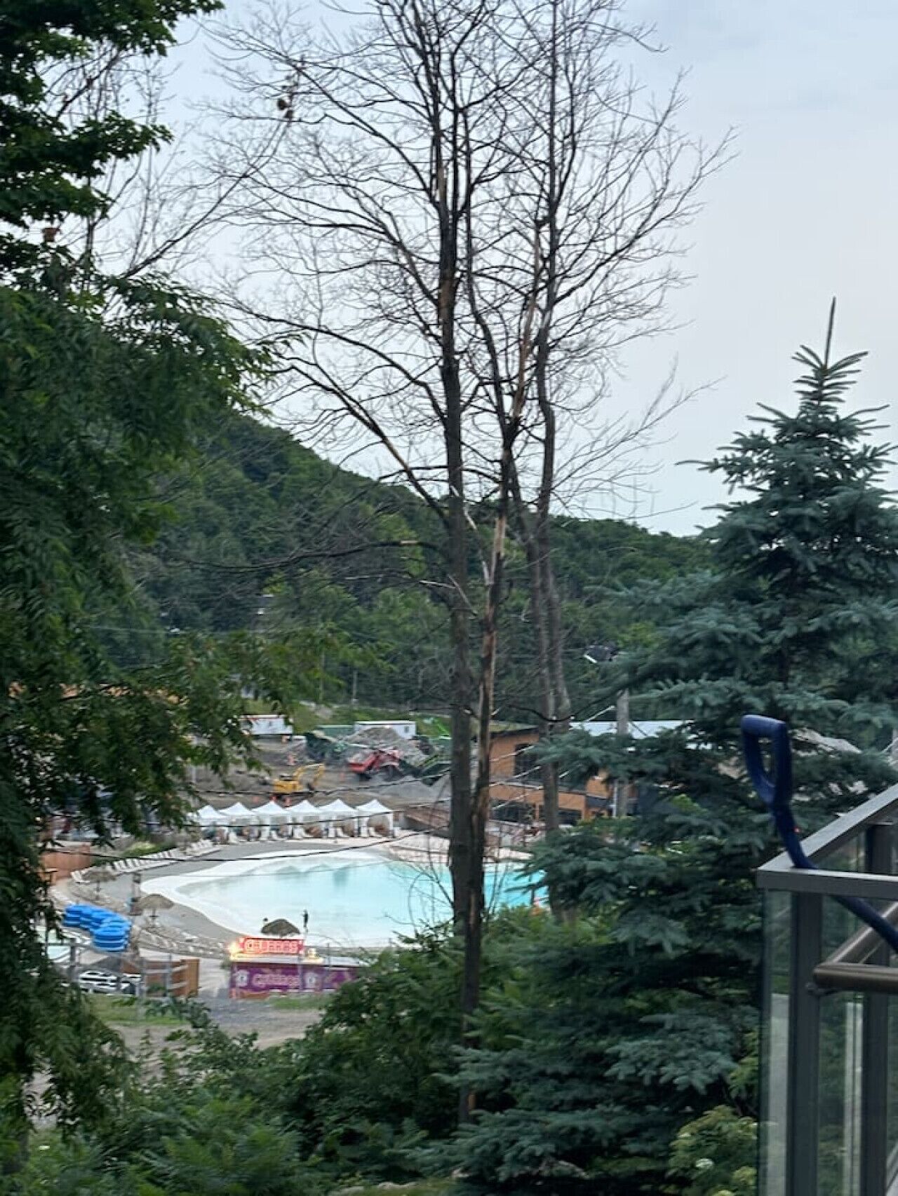 Terrein van de accommodatie