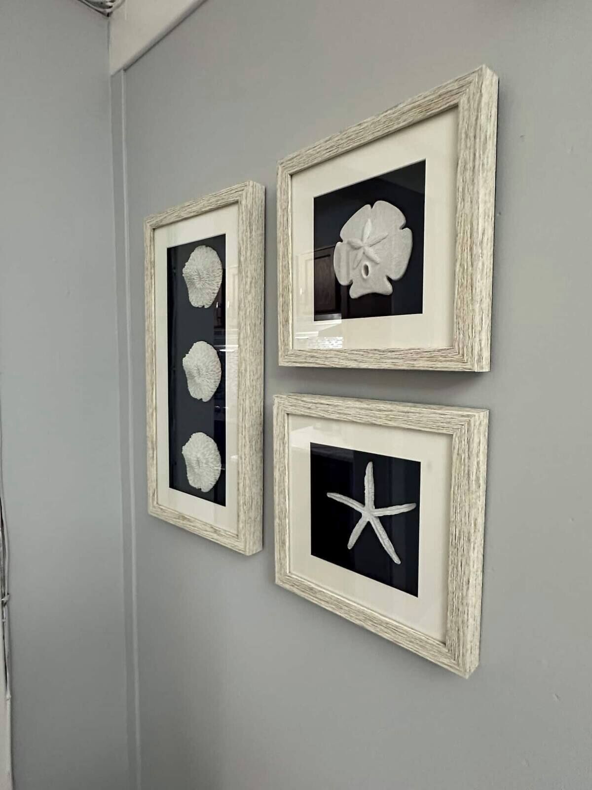 Three framed artworks on a wall.