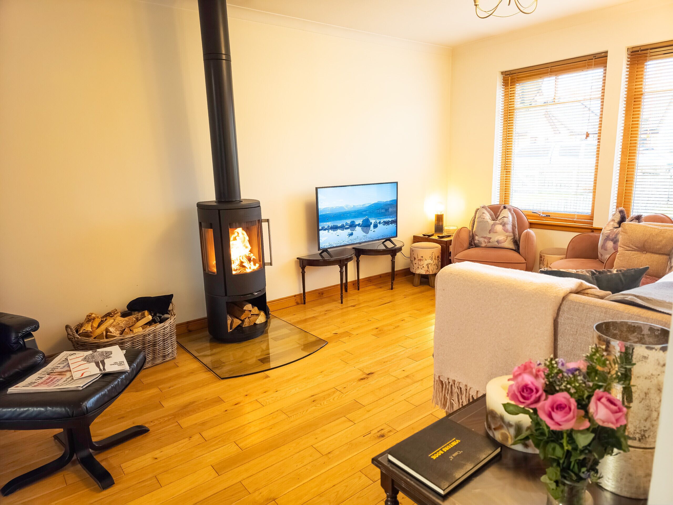 TV, fireplace