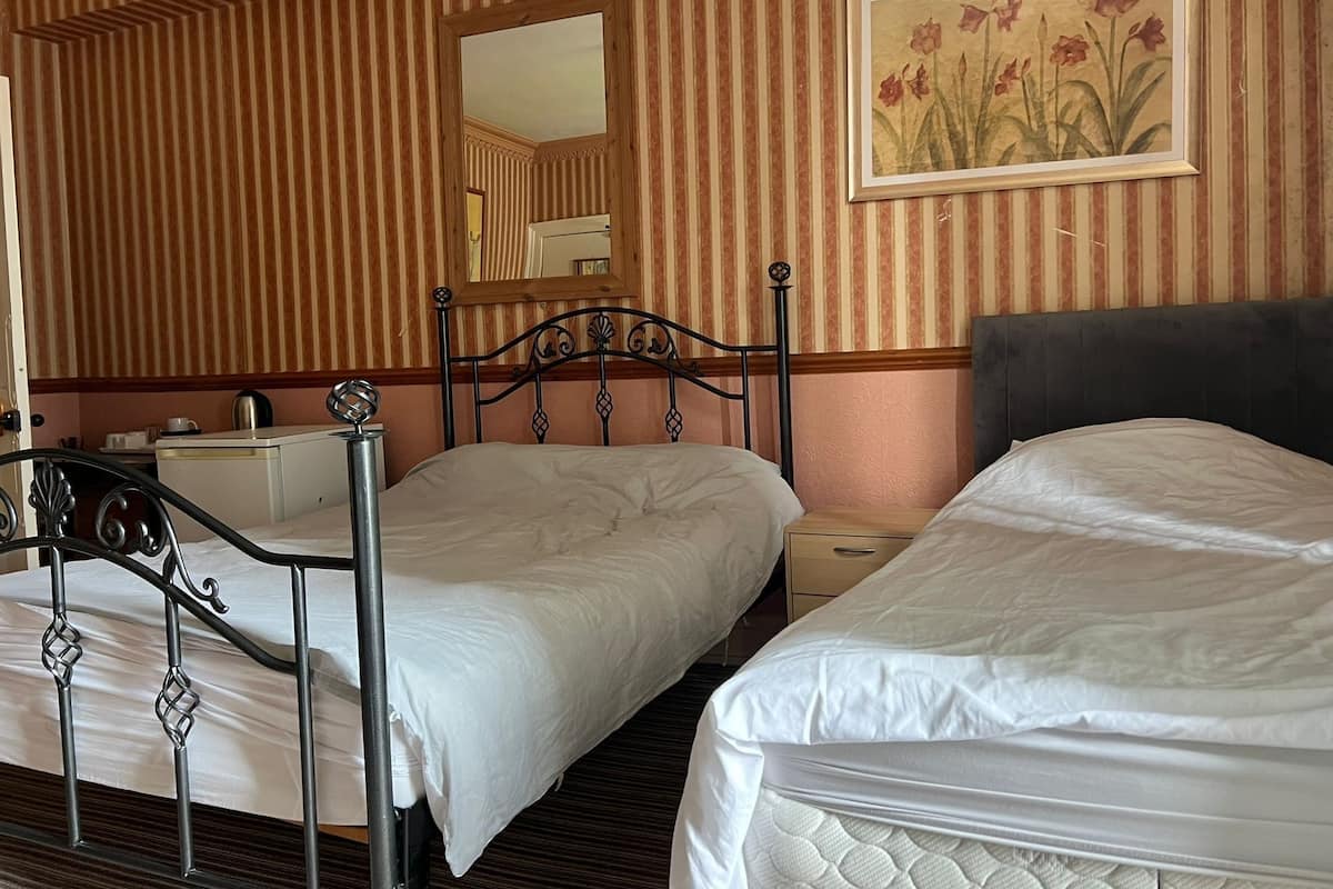 واي فاي مجانًا