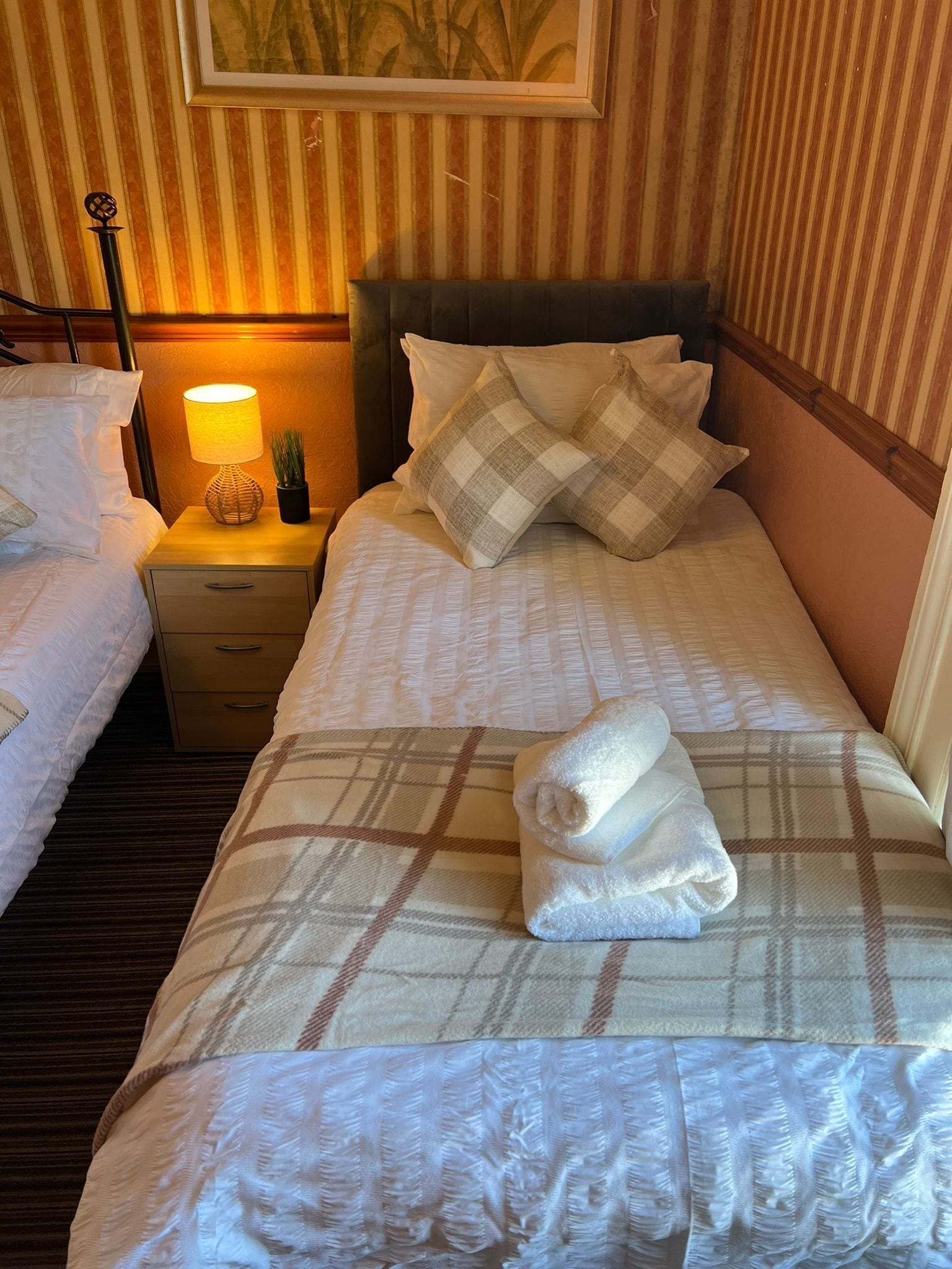 A neatly made bed with a plaid bedspread and two pillows, a bedside lamp, and a small plant on a wooden nightstand.