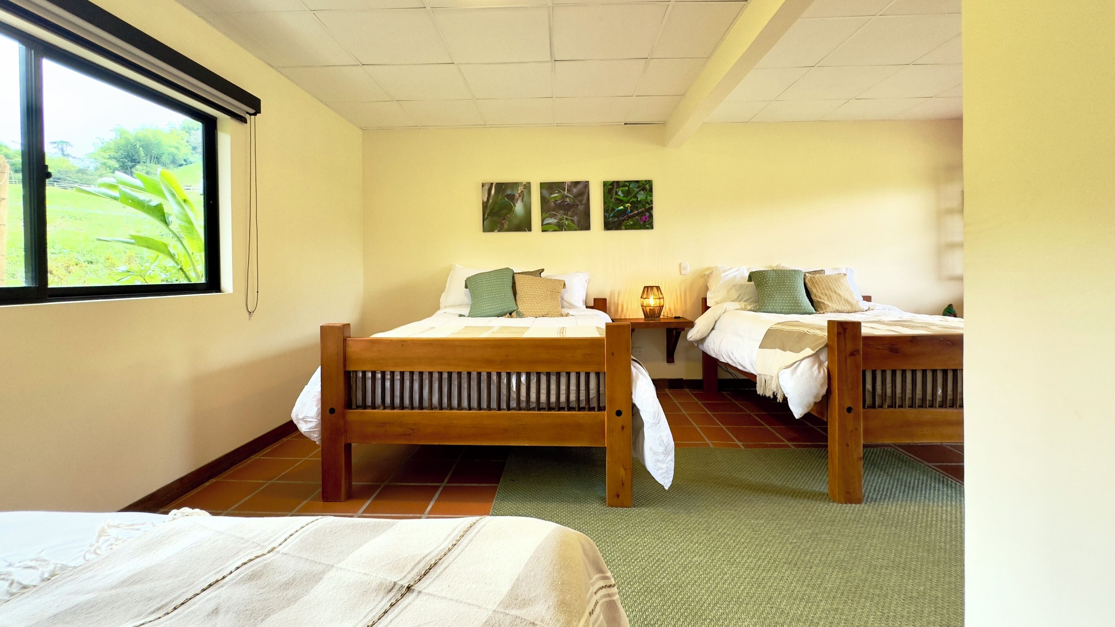 Een kamer met twee houten bedden, een raam met uitzicht op groen en drie ingekaderde foto's aan de muur.