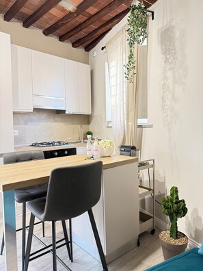 Private kitchen - Charming retreat a stone's throw from the historic center (Lucca)