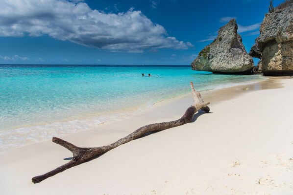 Plage à proximité, chaises longues, serviettes de plage