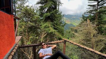 Cabin, 1 Bedroom, Smoking, Balcony | View from property