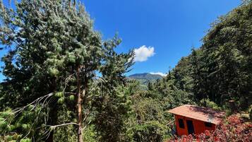 Cabin, 1 Bedroom, Smoking, Balcony | Exterior