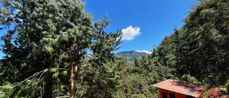 Cabin, 1 Bedroom, Smoking, Balcony | Exterior