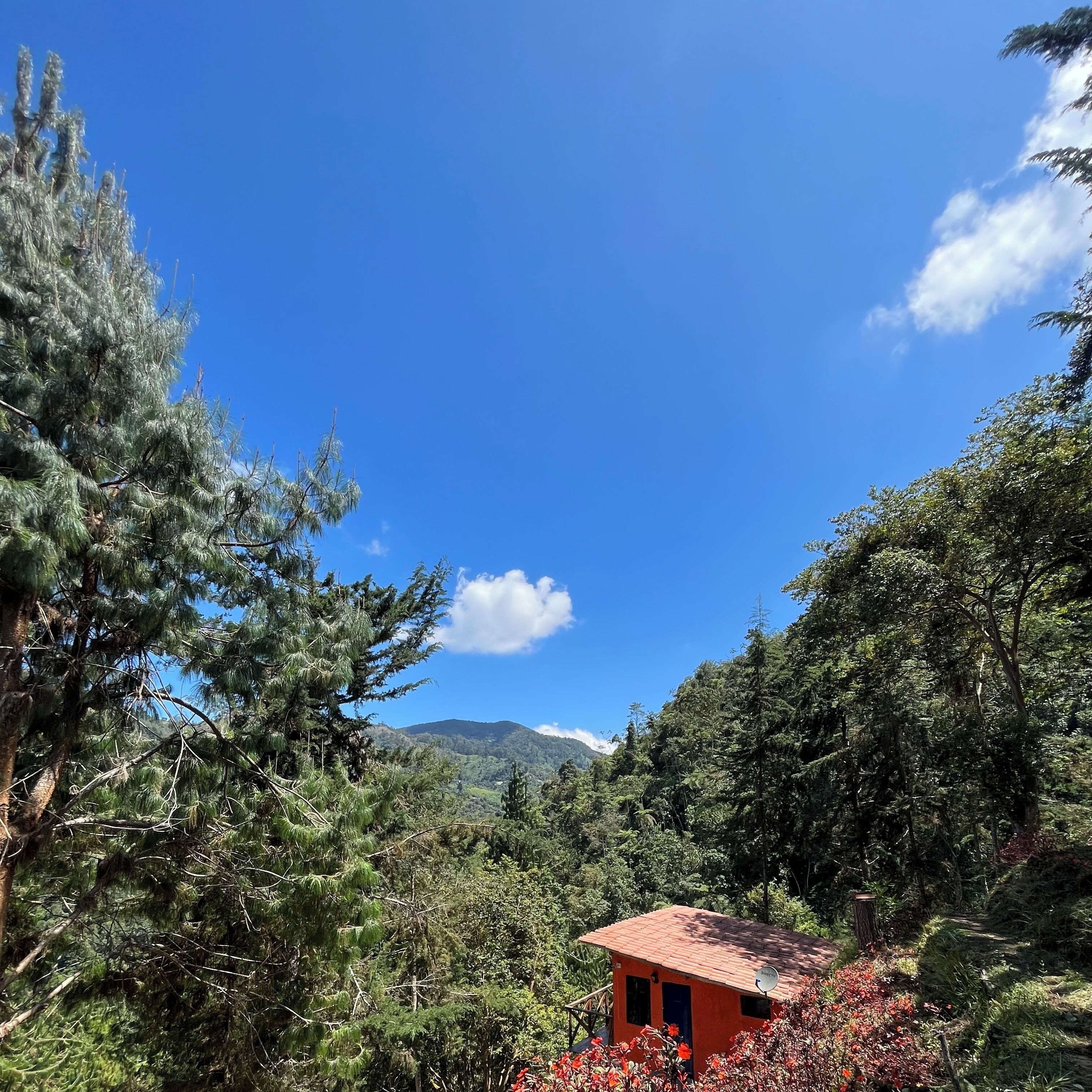 小屋, 1 间卧室, 吸烟房, 阳台 | 其他