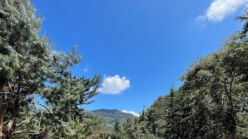 Cabin, 1 Bedroom, Smoking, Balcony | Miscellaneous