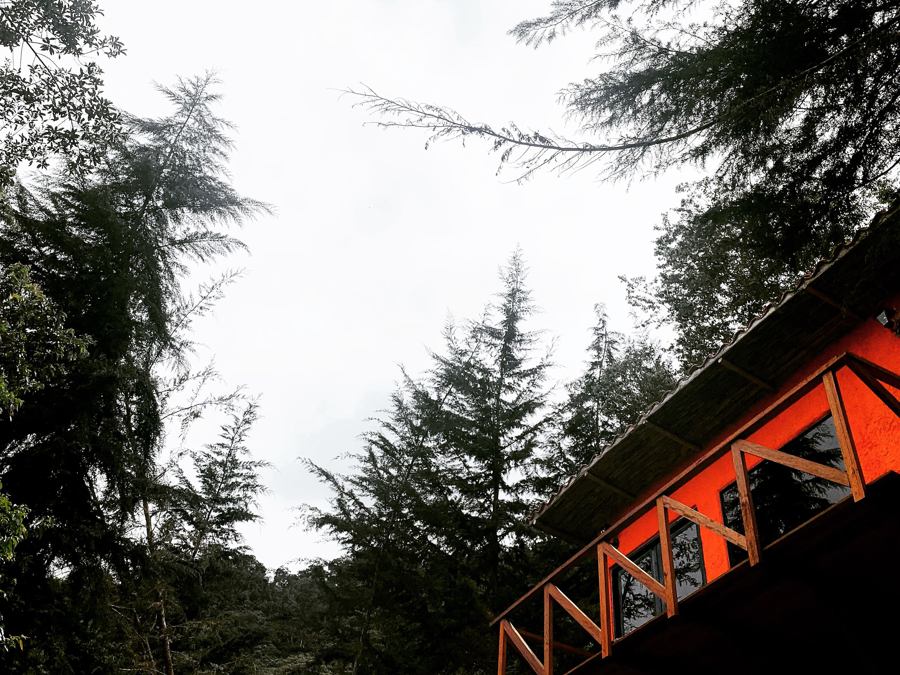 Cabin, 1 Bedroom, Smoking, Balcony | Exterior