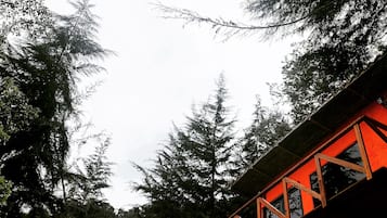 Cabin, 1 Bedroom, Smoking, Balcony | Exterior
