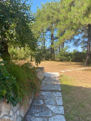 Property grounds - Hestia Garden View - Thassos Homely Vibes (Thasos Regional Unit)