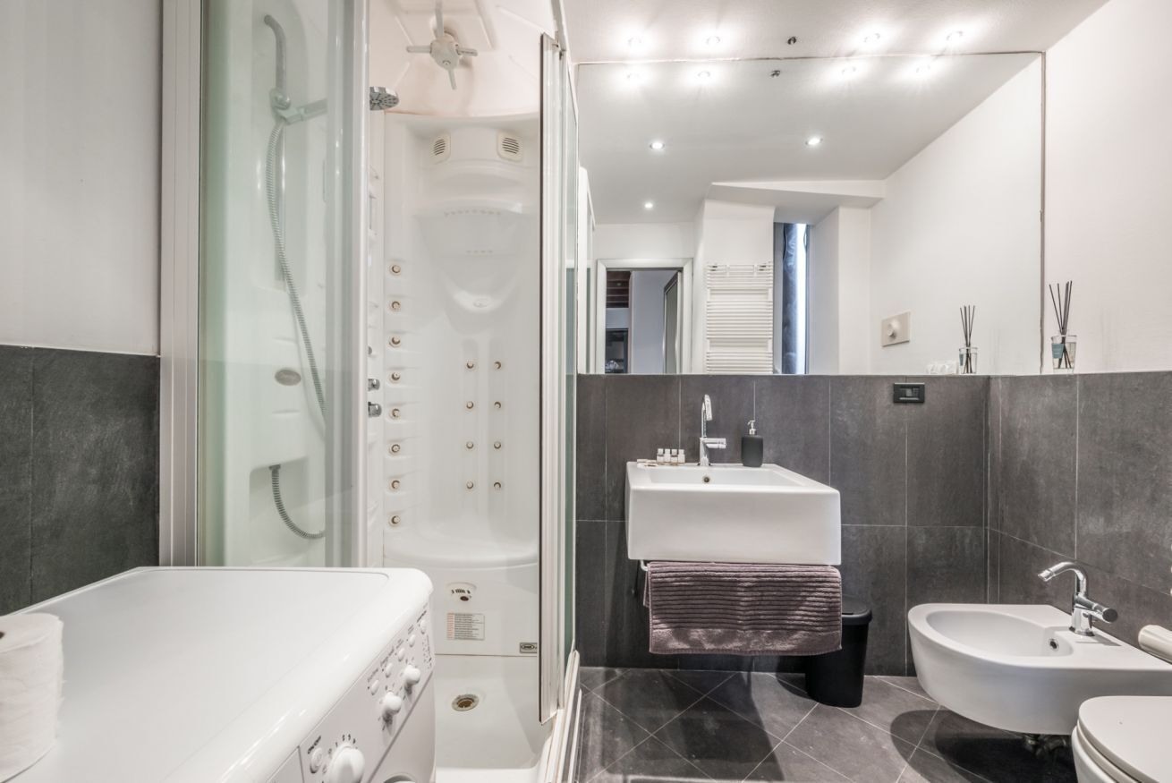 Shower, hair dryer, bidet, towels