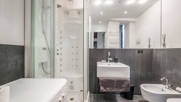 Shower, hair dryer, bidet, towels