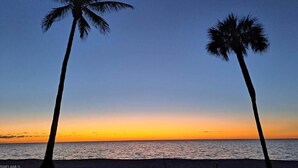 Deux palmiers se découpent sur le ciel au coucher du soleil.
