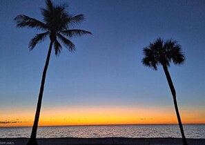 Two palm trees silhouetted against a sunset sky. - Beachfront Villa! Beachside Pool! Beautiful Sunsets! Nearby Shopping & Dining! (Naples)