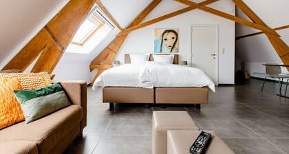 Xtra space Deluxe room 1st floor