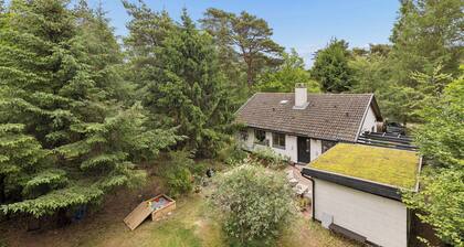 Modernised 70s cottage in forest near beach