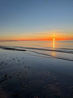 Beach - Modernised 70s cottage in forest near beach (Nykøbing Sjælland)
