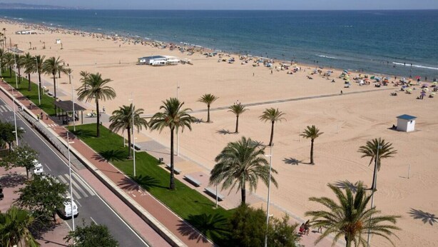 Ein Strand mit Palmen, einer Straße und einem Gebäude.