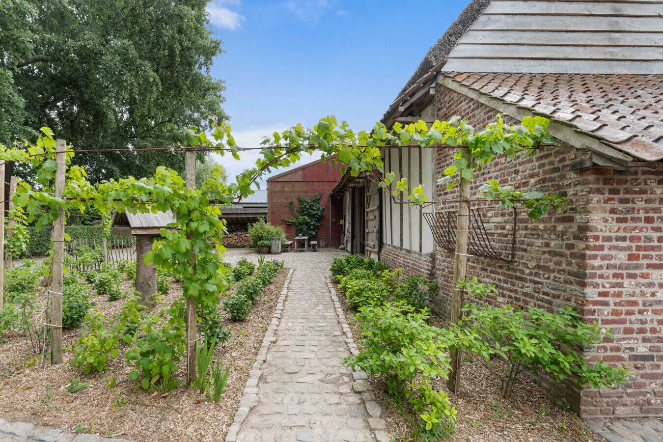 Terrein van de accommodatie