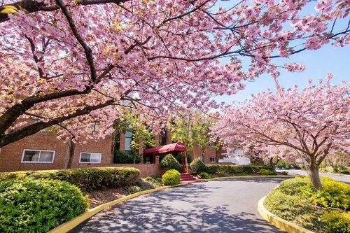 Comfortable 2BR/2BA | Great Monthly Rates