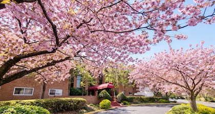 Comfortable 2BR/2BA | Great Monthly Rates