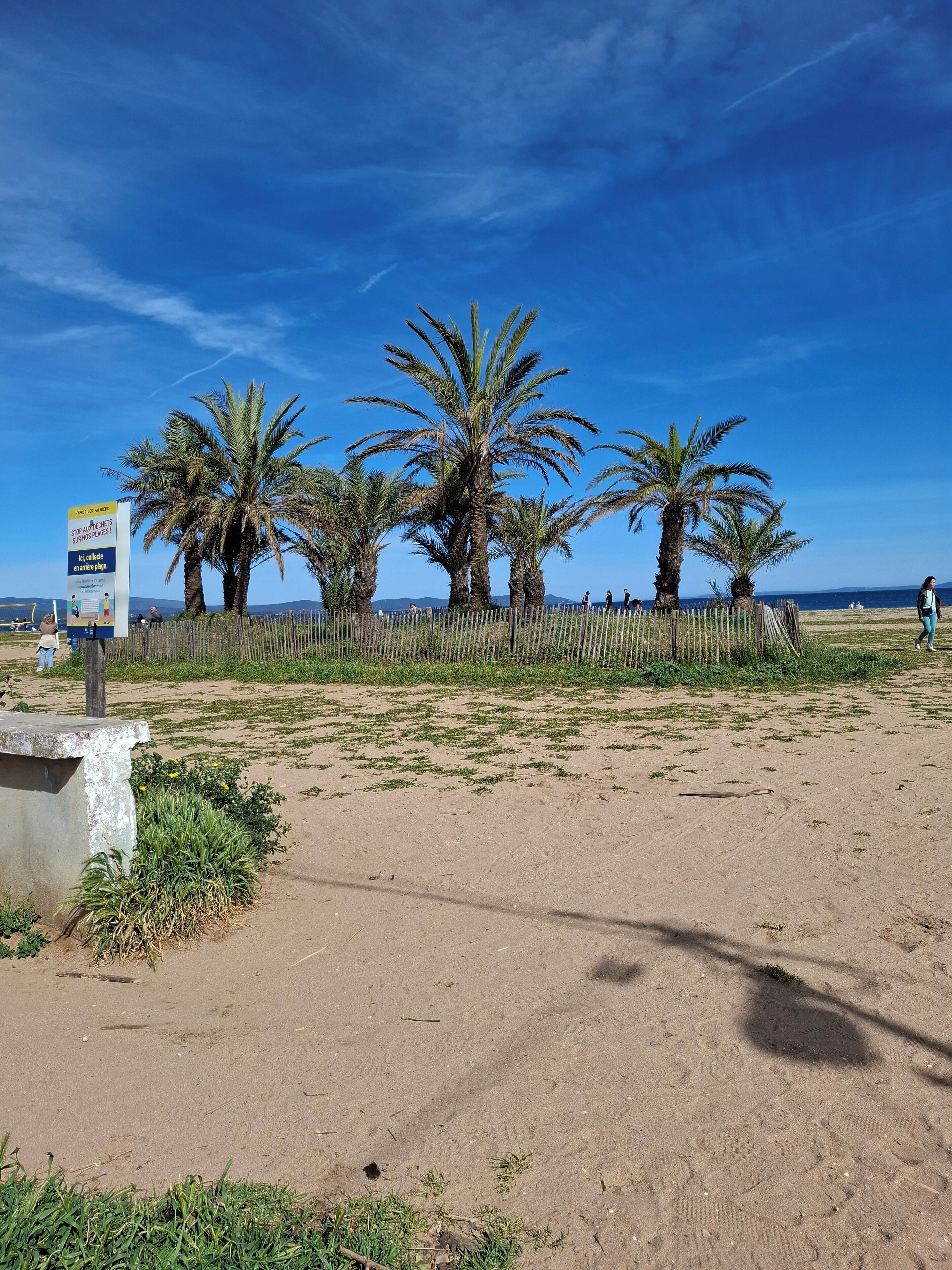 A sandy beach with palm trees and a wooden fence.