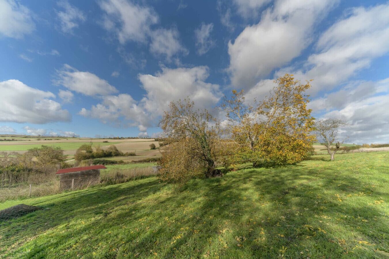 A rural landscape with a grassy field, a small red-roofed building, and a tree with yellow leaves.