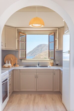 Fridge, oven, stovetop, coffee/tea maker