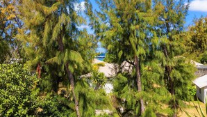 A tropical resort with dense greenery, a pool, and a view of the ocean. - Croix Du Sud (Trou d'Eau Douce)