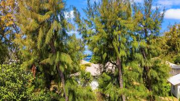 Maison (5 Bedrooms) | Intérieur