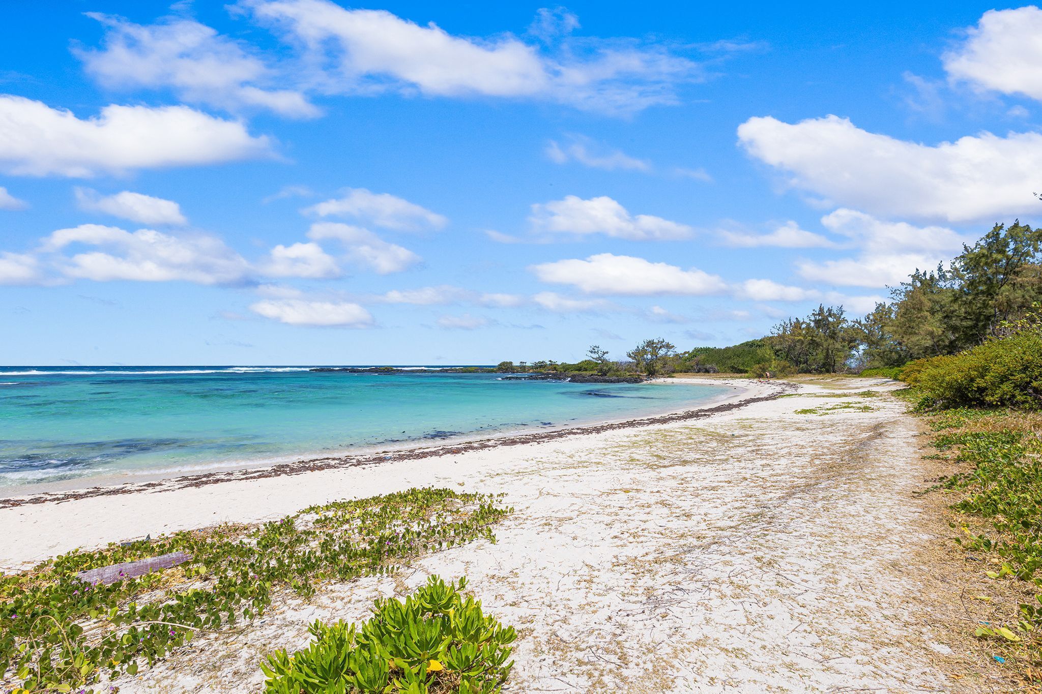 A beach with clear turquoise water, white sand, and green vegetation.