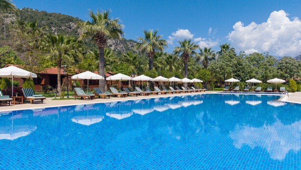 Une piscine entourée de chaises longues et de parasols, bordée de palmiers et avec une chaîne de montagnes en toile de fond.