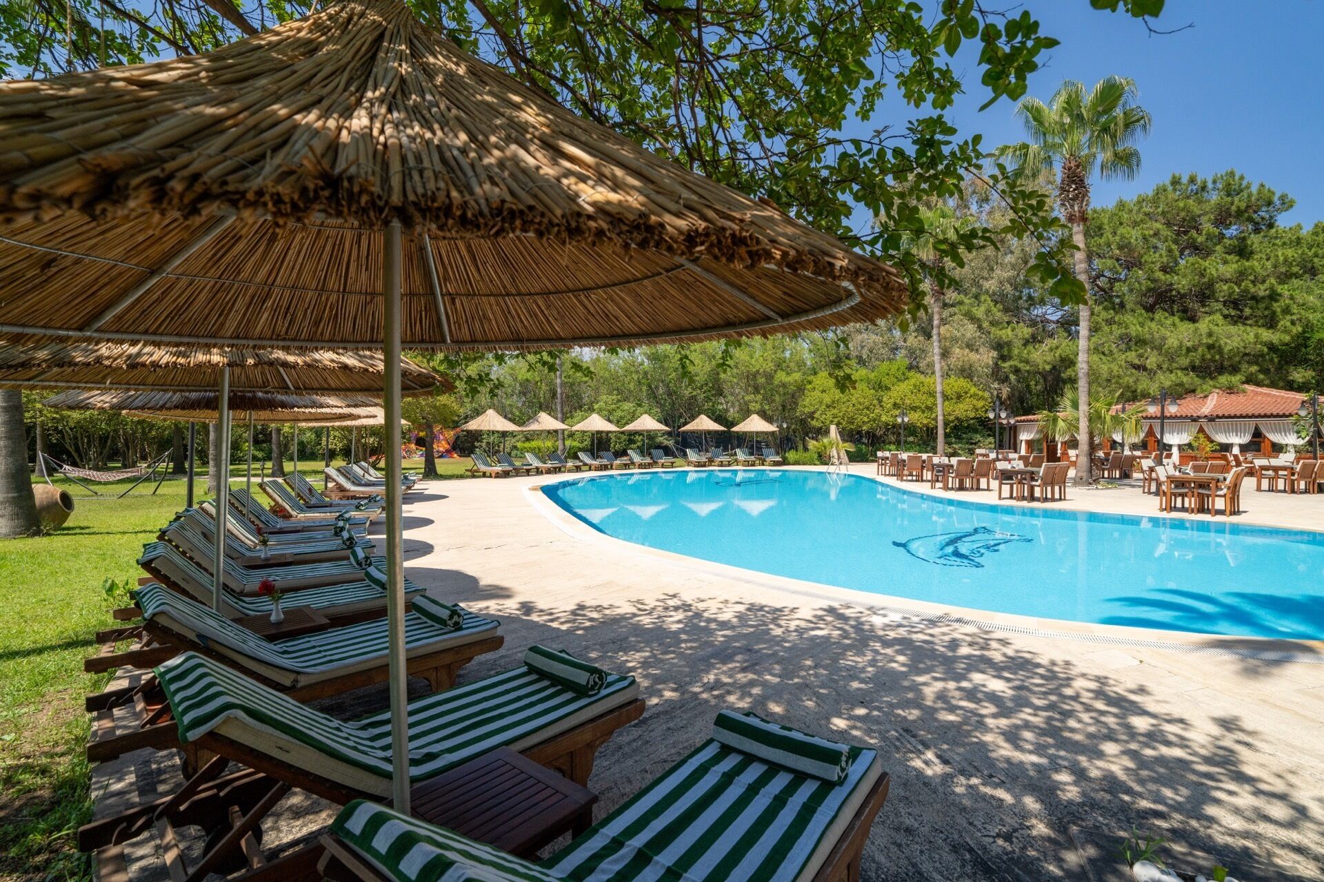 A pool area with lounge chairs, umbrellas, and a clear blue pool.