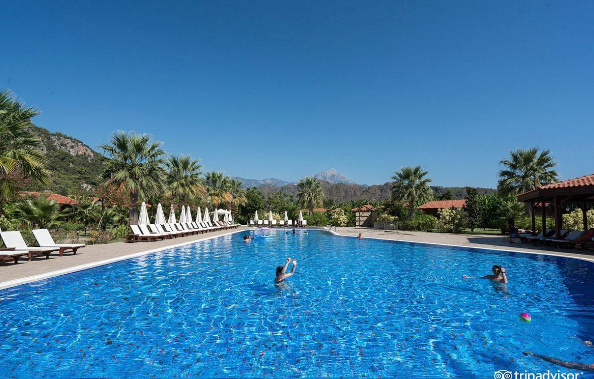 A swimming pool with lounge chairs and umbrellas, surrounded by palm trees and mountains in the background.