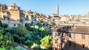 A historic town with a prominent tower and dense medieval architecture. - Pina Colada- New apartment in the historic center of Siena (Siena)
