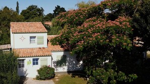 Een gebouw met twee verdiepingen, een pannendak, een kleine tuin en een boom met roze bloemen.